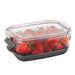 Progressive Prepworks Berry ProKeeper, 1.2-Quart for Strawberries, Blueberries