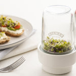Kilner Food Prep Sprouting Set with Glass Jar and Ceramic Base