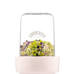Kilner Food Prep Sprouting Set with Glass Jar and Ceramic Base