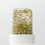 Kilner Food Prep Sprouting Set with Glass Jar and Ceramic Base