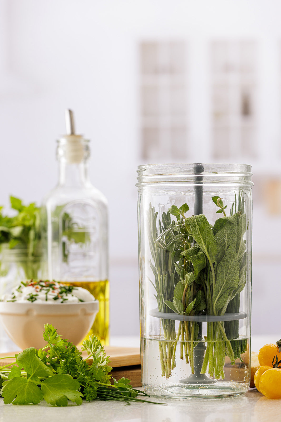 Kilner Fresh Herb Keeper, Glass Herb Storage Jar for Fridge