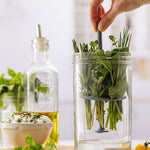 Kilner Fresh Herb Keeper, Glass Herb Storage Jar for Fridge