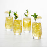 Schott Zwiesel Pure Tritan Crystal Longdrink Glass, 18.3 ounce, Set Of 6