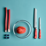 Wusthof Classic 9-Inch Double Serrated Bread Knife, Coral Peach