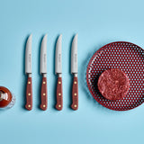 Wusthof Classic 4.5-Inch Steak Knife, Tasty Sumac