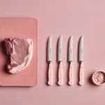 Wusthof Classic 4 Piece Steak Knife Set, Pink Sea Salt