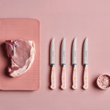 Wusthof Classic 4 Piece Steak Knife Set, Pink Sea Salt