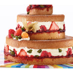 Lekue Surprise Cake Mold Kit