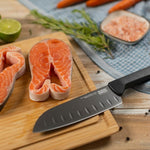 Kuhn Rikon ICED Santoku Knife 6.3-Inch, Ice Hardened German Stainless Blade