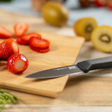 Kuhn Rikon ICED Paring Knife 3.5-Inch, Ice Hardened German Stainless Blade