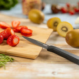 Kuhn Rikon ICED Paring Knife 3.5-Inch, Ice Hardened German Stainless Blade