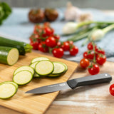 Kuhn Rikon ICED Serrated Paring Knife 3.5-Inch, Ice Hardened German Stainless Blade