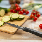 Kuhn Rikon ICED Serrated Paring Knife 3.5-Inch, Ice Hardened German Stainless Blade