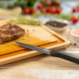 Kuhn Rikon ICED Steak Knife 4.13-Inch, Set of 4, Ice Hardened German Stainless Blade