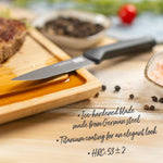 Kuhn Rikon ICED Steak Knife 4.13-Inch, Set of 4, Ice Hardened German Stainless Blade