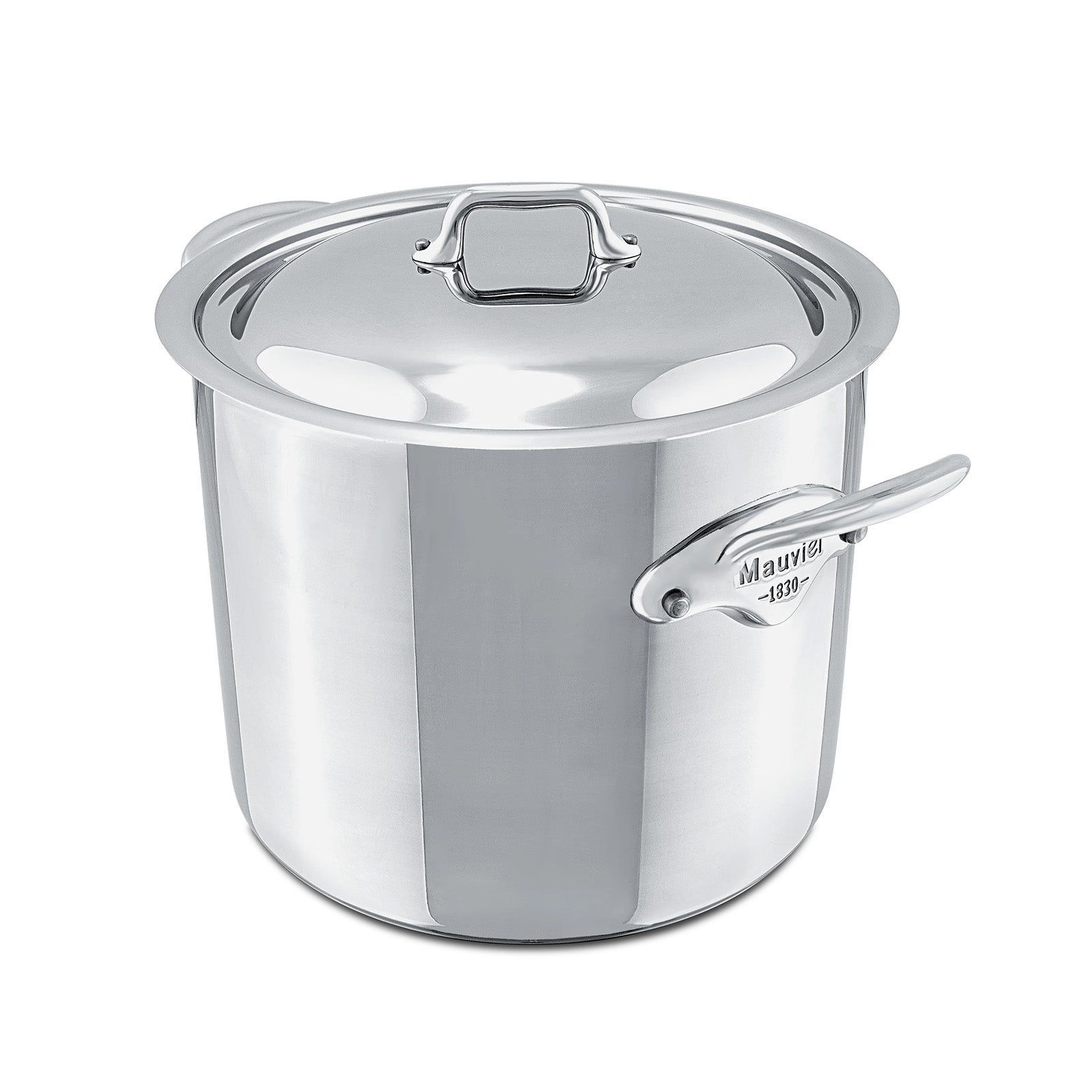 Mauviel M'Cook 9.1 qt. Ferritic Steel Magnetic Stock Pot with Lid