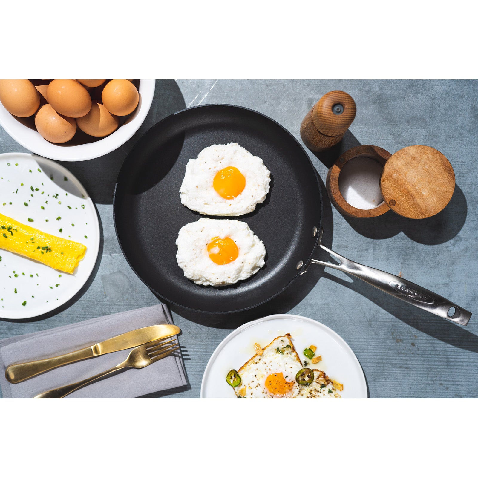 Scanpan Professional 9.5 Inch Fry Pan