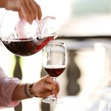 Riedel Vinum Cabernet Sauvignon/Merlot 2 Piece Wine Glass Set with Polishing Cloth