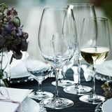 Riedel Vinum Pinot Noir 2 Piece Wine Glass Set with Polishing Cloth