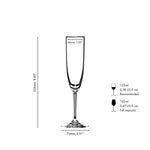 Riedel Vinum Champagne Flute 2 Piece Glass Set with Polishing Cloth
