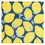 MÜkitchen VIBE Premium Quick Dry Dual Sided Recycled Dish Cloth Set of 2, Lemons, 10" x 10"