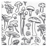 MÜkitchen VIBE Premium Quick Dry Dual Sided Recycled Dish Cloth Set of 2, Mushroom Medley, 10" x 10"