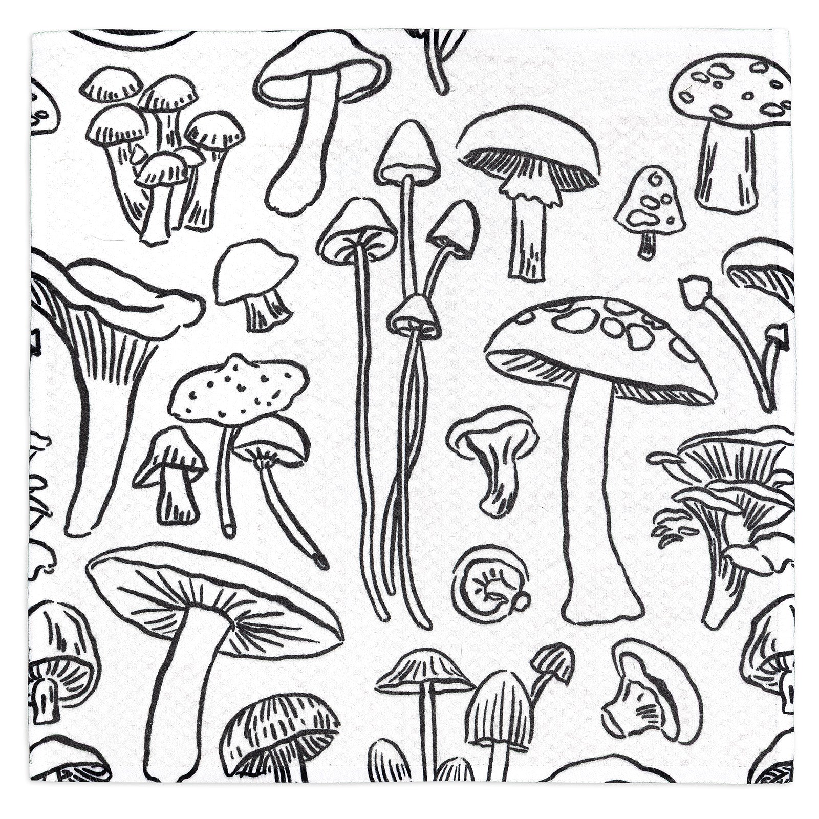MÜkitchen VIBE Premium Quick Dry Dual Sided Recycled Dish Cloth Set of 2, Mushroom Medley, 10" x 10"