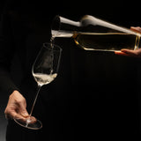 Riedel Superleggero Riesling 2 Piece Wine Glass Set