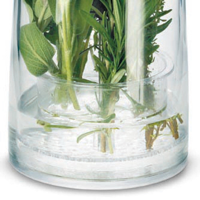 Cuisipro Original Herb Keeper Keeps Herbs Fresh Storage Container