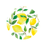 Davanti by Frieling Casa Round Vinyl Placemat, 15" Diameter, Watercolor Lemon Print – Easy-Clean Table Mat for Dining & Kitchen