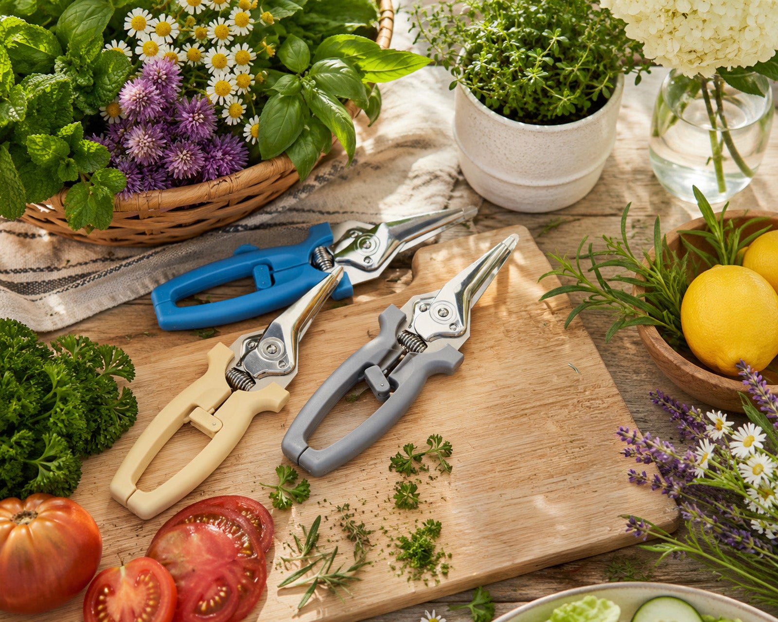 Kuhn Rikon Classic Kitchen & Garden Shears - Stainless Steel Blades, Assorted Colors