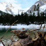 Brainstream Camping BeepEgg Singing and Floating Egg Timer for Boiled Eggs