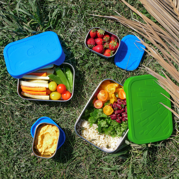 ECOlunchbox Blue Water Bento Splash Box XL Food Storage Container, Stainless