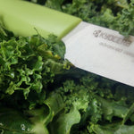 Kyocera Revolution Ceramic 3 Inch Paring Knife, Green