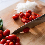 Global 8 Inch Chef's Knife