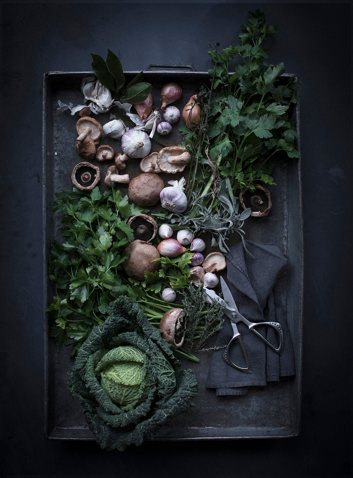 Global 8-1/4-Inch Kitchen Shears