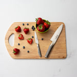 Global GS-40 4-Inch Paring Knife