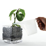 Norpro Funnel Pitcher, 2 Cup, White