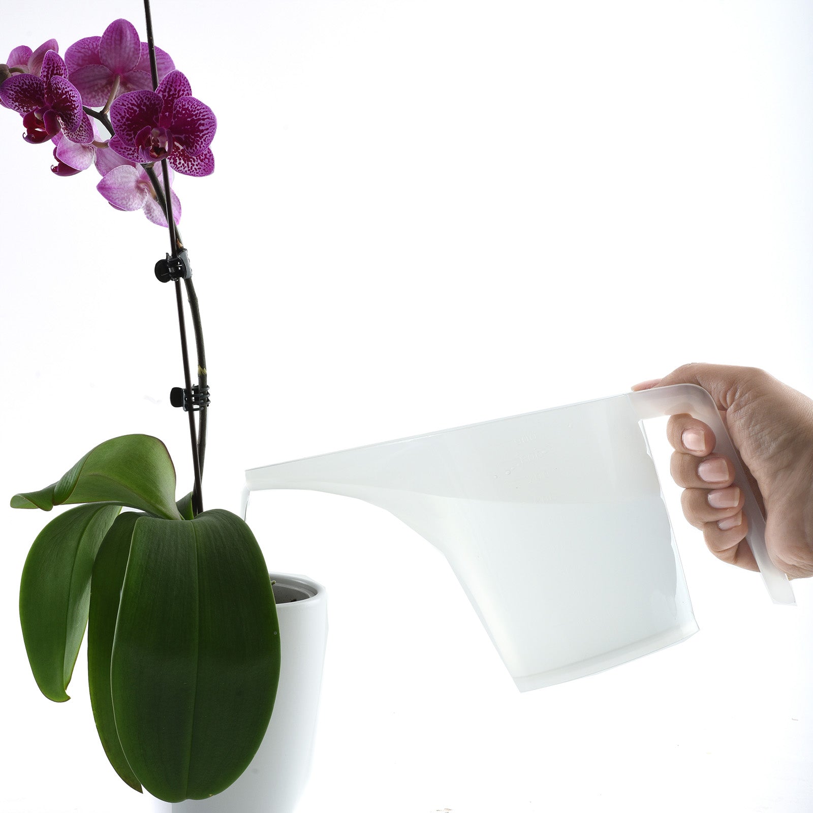 Norpro Funnel Pitcher, 3.5 Cup, White