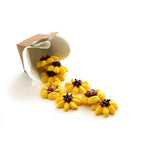 Norpro Stainless Steel Cookie and Icing Press with Storage Case, Black