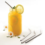 Norpro 8-Inch Stainless Steel Drinking Straws with 2 Cleaning Brushes, Silver, Set of 4