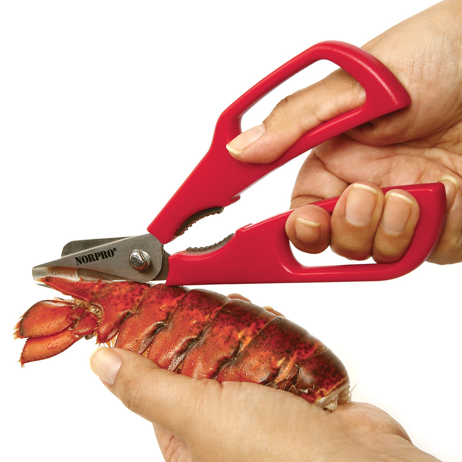 Norpro Ultimate Seafood Shears, 7.5-Inch
