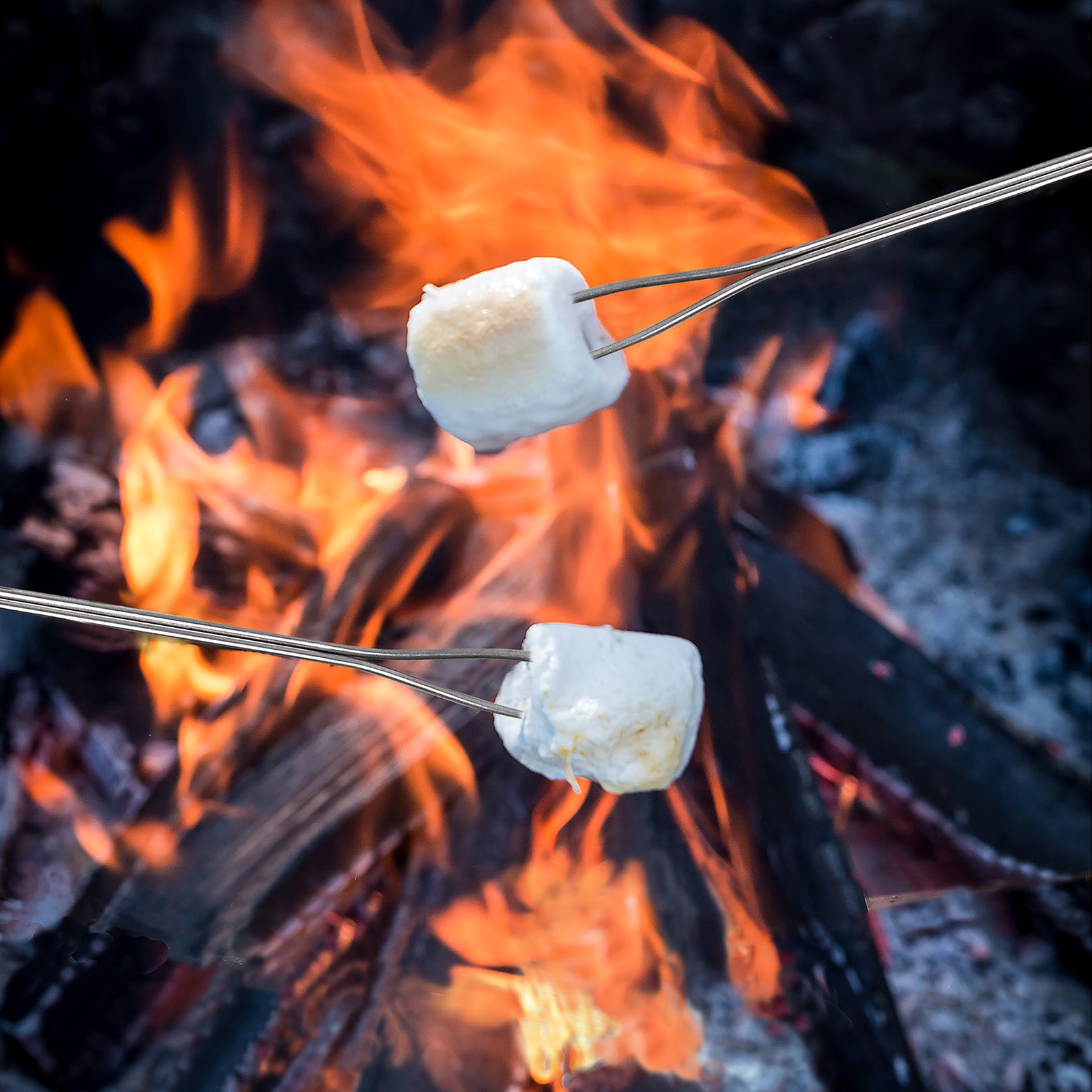 Norpro Glow in the Dark Telescoping Marshmallow/Hot Dog Forks, Set of 2