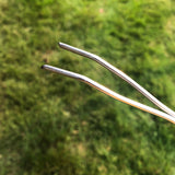 Norpro Glow in the Dark Telescoping Marshmallow/Hot Dog Forks, Set of 2