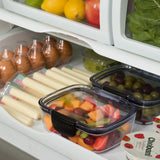Progressive International ProKeeper+ Airtight Mini Deli Storage Container, Clear Plastic