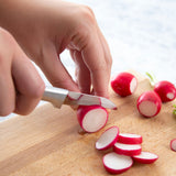 Rada Cutlery 2.38-Inch Granny Paring Knife Set of 2, Silver Handles & Quick Edge Knife Sharpener