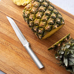 Rada Cutlery 5.375-Inch Stubby Butcher Knife Set of 2, Silver Handles & Quick Edge Knife Sharpener