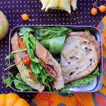 ECOlunchbox Solo Rectangle Stainless Steel Food Storage Container