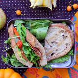 ECOlunchbox Solo Rectangle Stainless Steel Food Storage Container