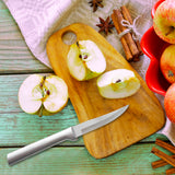 Rada 2 Piece Paring Knife Set with Sharpener and Gift Box, Silver Handles